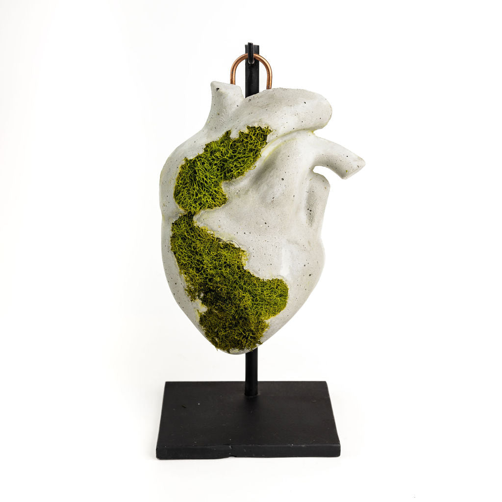 BIG CONCRETE anatomical HEART NO STAND