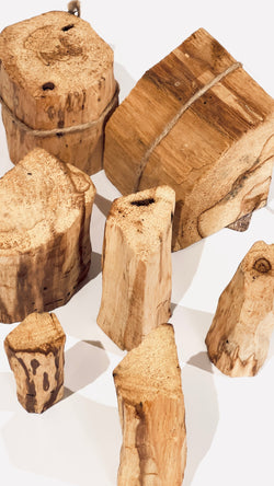 Palo Santo Giant