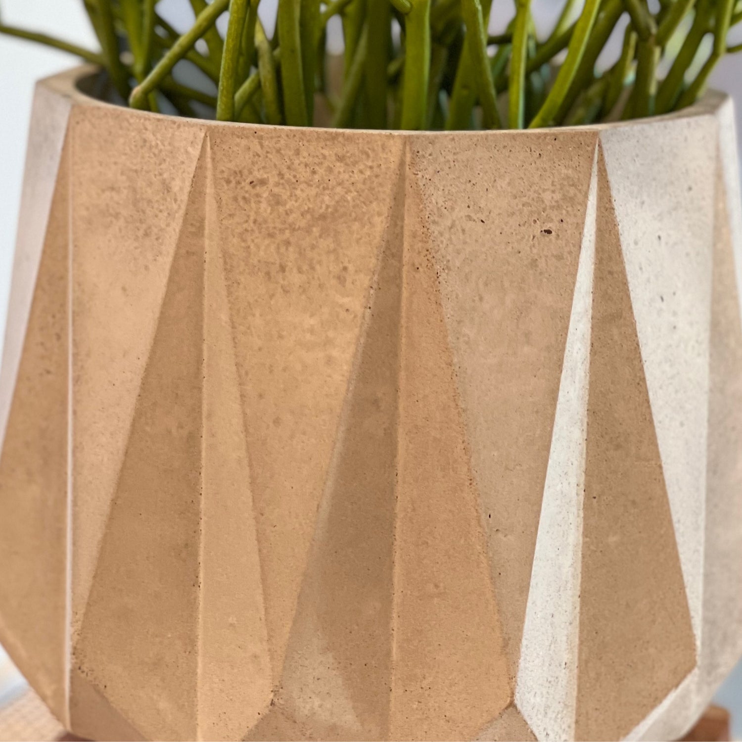 TRAYS-DISH-POTS