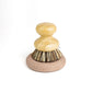 Wood Scrub Brush In A Concrete Dish