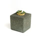 Strike Any Where Concrete Match Holder
