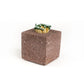 Strike Any Where Concrete Match Holder