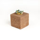 Strike Any Where Concrete Match Holder