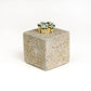 Strike Any Where Concrete Match Holder