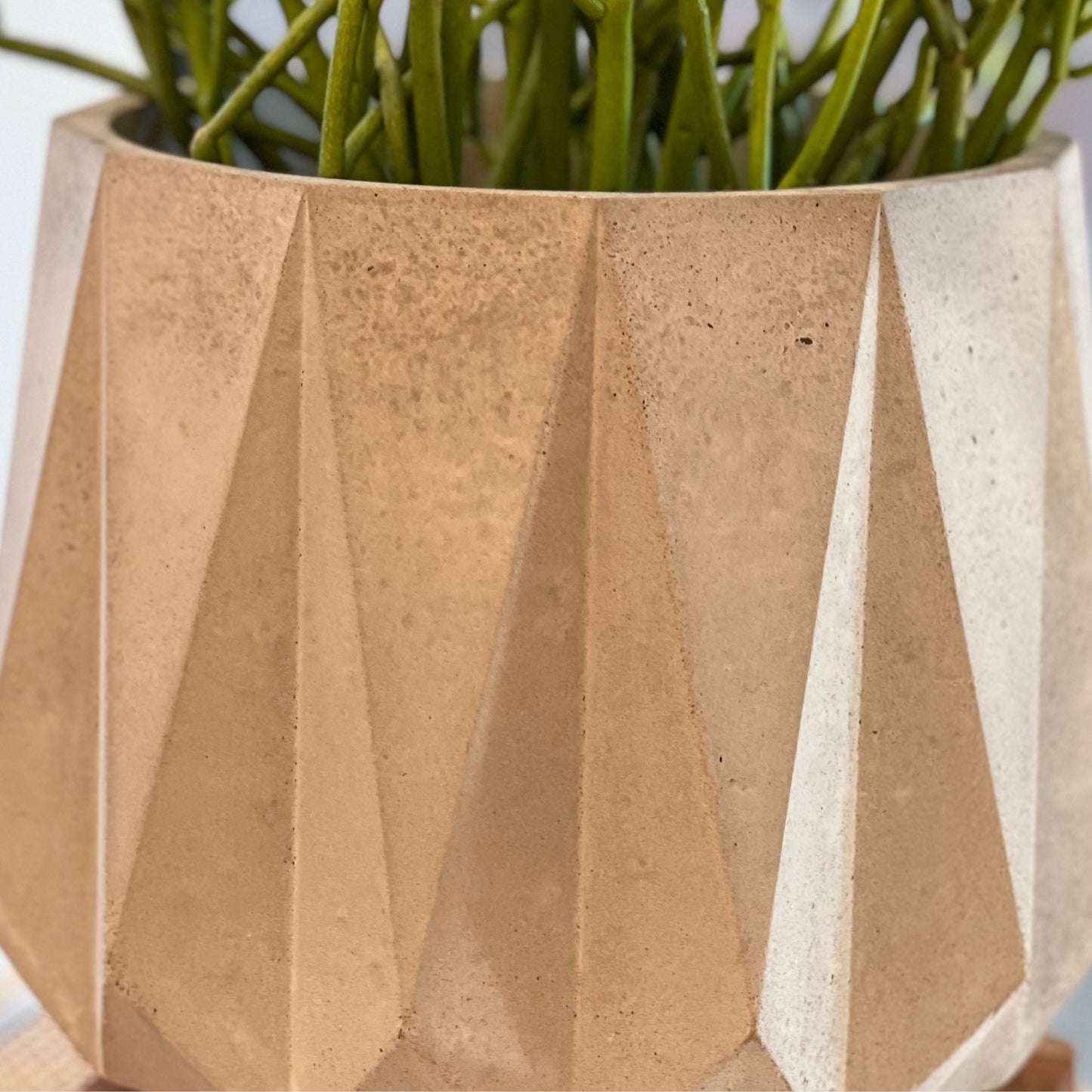 Large Geometric Concrete Planter
