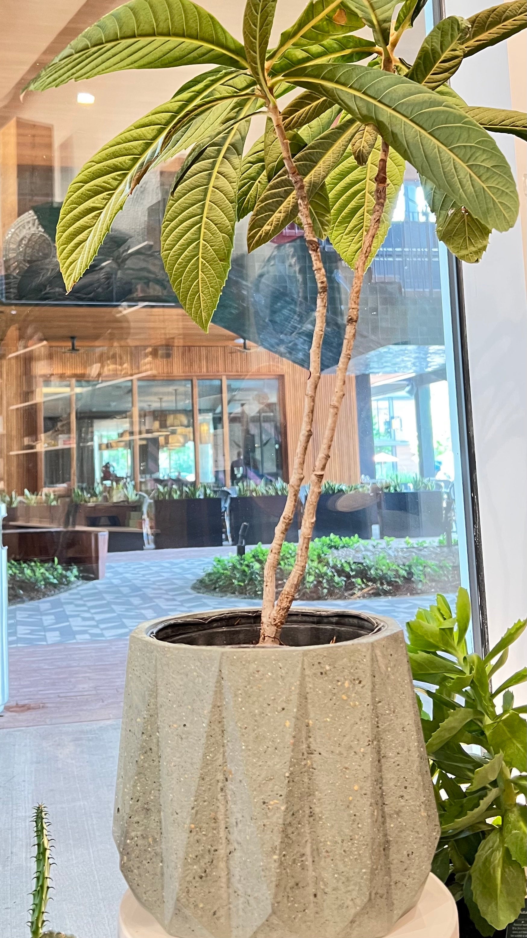 Large Geometric Concrete Planter