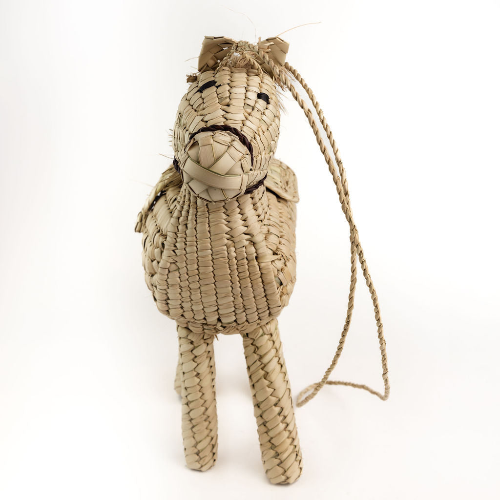 Animal Handwoven Bag