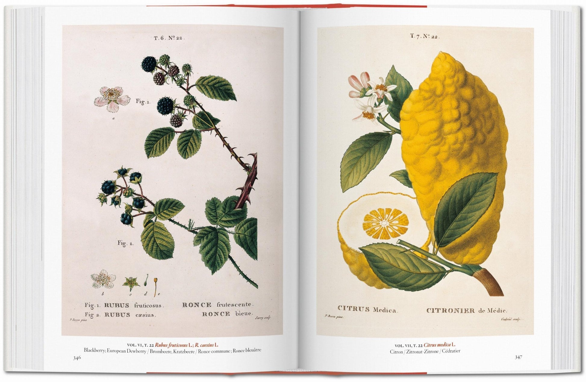 A garden eden book taschen