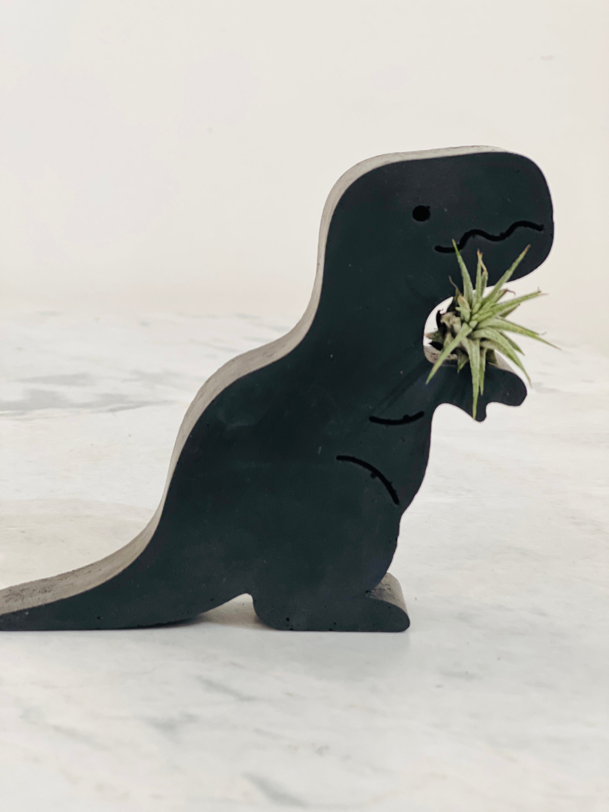 Concrete Dino Air Plant Holder