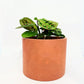 Concrete Pots