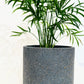 Concrete Pots