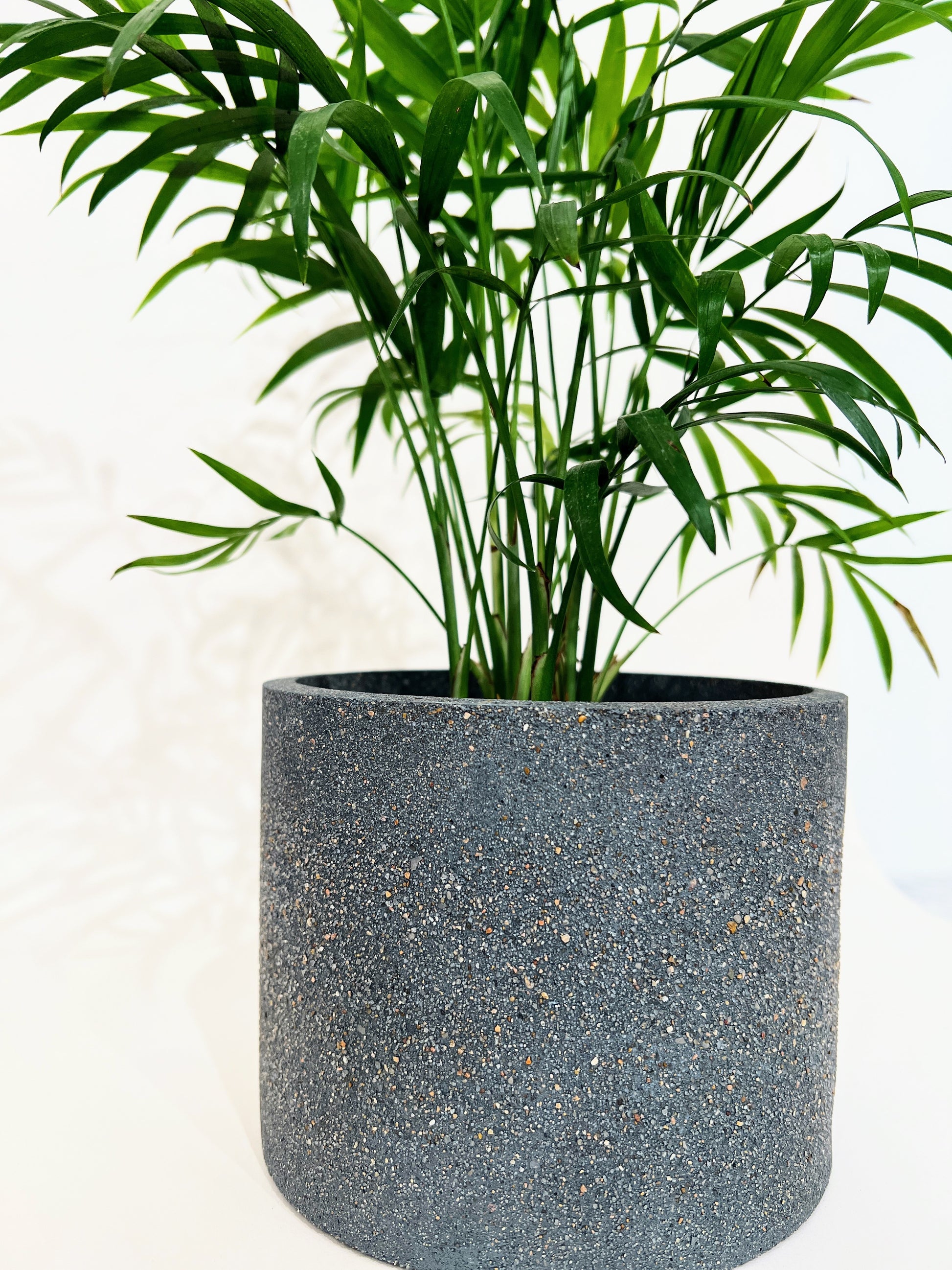 Concrete Pots